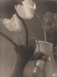 Max Baur, Alpenveilchen in Vase simultan, 1930/1940er, &copy; Lichtbild-Archiv Max Baur