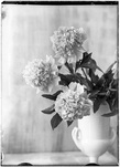 Anonym, untitled (Flower vase), 1920s (printed 2024), &copy; Günter Karl Bose Archiv, Berlin