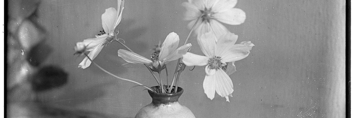 Der Blumenstrauß. Die Vergängliche Pracht – Fotografie von den Anfängen bis heute