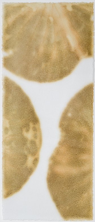 Morio Nishimura, Kalpa K.G. 7, 2009