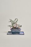 2. Hälfte 19. Jahrhundert, China (Second Half 19th Century, China), Jardinière & Tablett, 2. Hälfte 19. Jh.