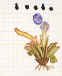 Tamara K. E., o. T. (aus der Serie: Run Antonin), 2014