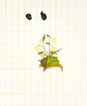 Tamara K. E., o. T. (aus der Serie: Run Antonin), 2014