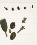 Tamara K. E., o. T. (aus der Serie: Run Antonin), 2014