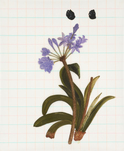Tamara K. E., o. T. (aus der Serie: Run Antonin), 2014