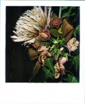 Nobuyoshi Araki, Flower, 2006-2009, &copy; Nobuyoshi Araki