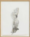 Svenja Schüffler, Schrödinger's Bird 15 (aus der Serie: An Experiment on a Bird), 2021