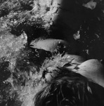 Lucien Clergue, Nu de la mer, 1956, &copy; VG Bild-Kunst, Bonn