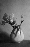 Leiko Ikemura, Flower, 2009, &copy; Leiko Ikemura, VG Bild-Kunst, Bonn 2024