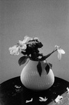 Leiko Ikemura, Flower, 2009, &copy; Leiko Ikemura, VG Bild-Kunst, Bonn 2024