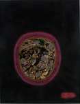 Yayoi Kusama, A Nest, 1981