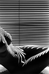 Lucien Clergue, Nu zébré New York, 1997