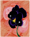 Susanne Kühn, Pansy, 2023