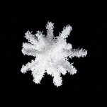 Aljoscha, object # 58, 2008