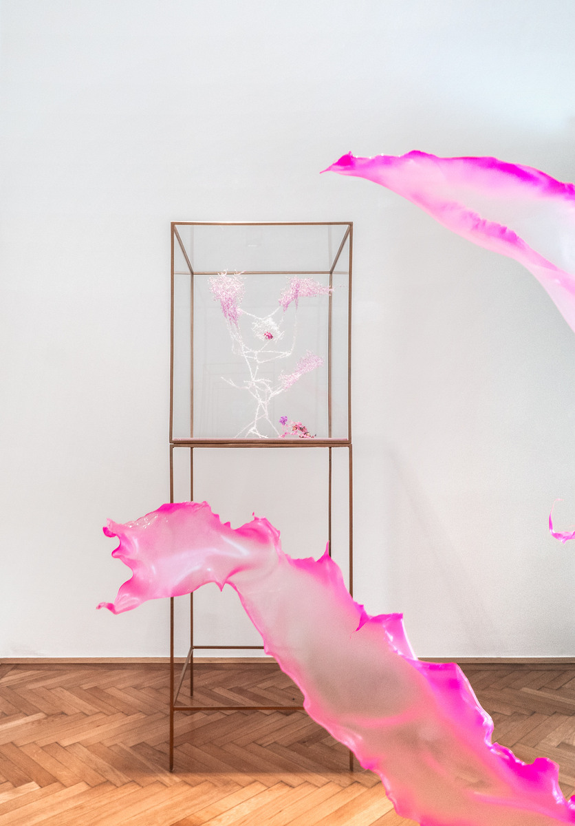 vorheriges Bild