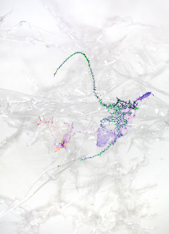 Aljoscha, Urpflanze II, no. 4, 2021