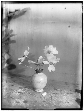 Anonym, untitled (Flower vase), 1920s (printed 2024), &copy; Günter Karl Bose Archiv, Berlin