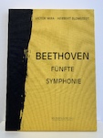 Víctor Mira, Beethoven - Fünfte Symphonie, 1994/95